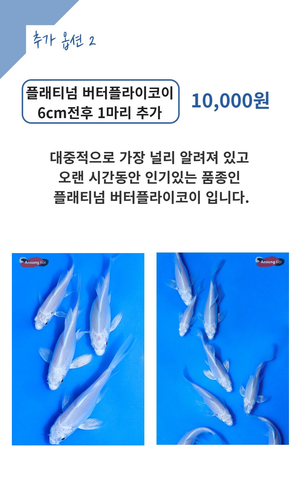 점퍼 상품상세 이미지-S16L2