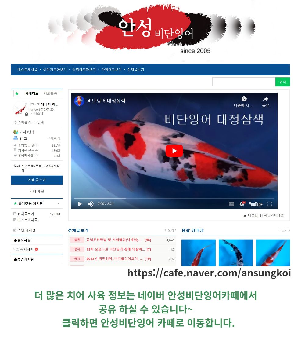 악세사리 -S1L17