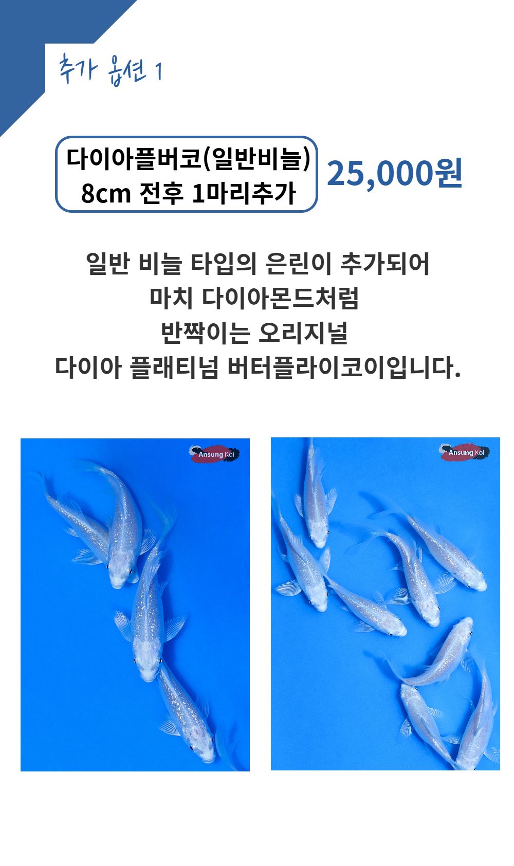 악세사리 -S18L1