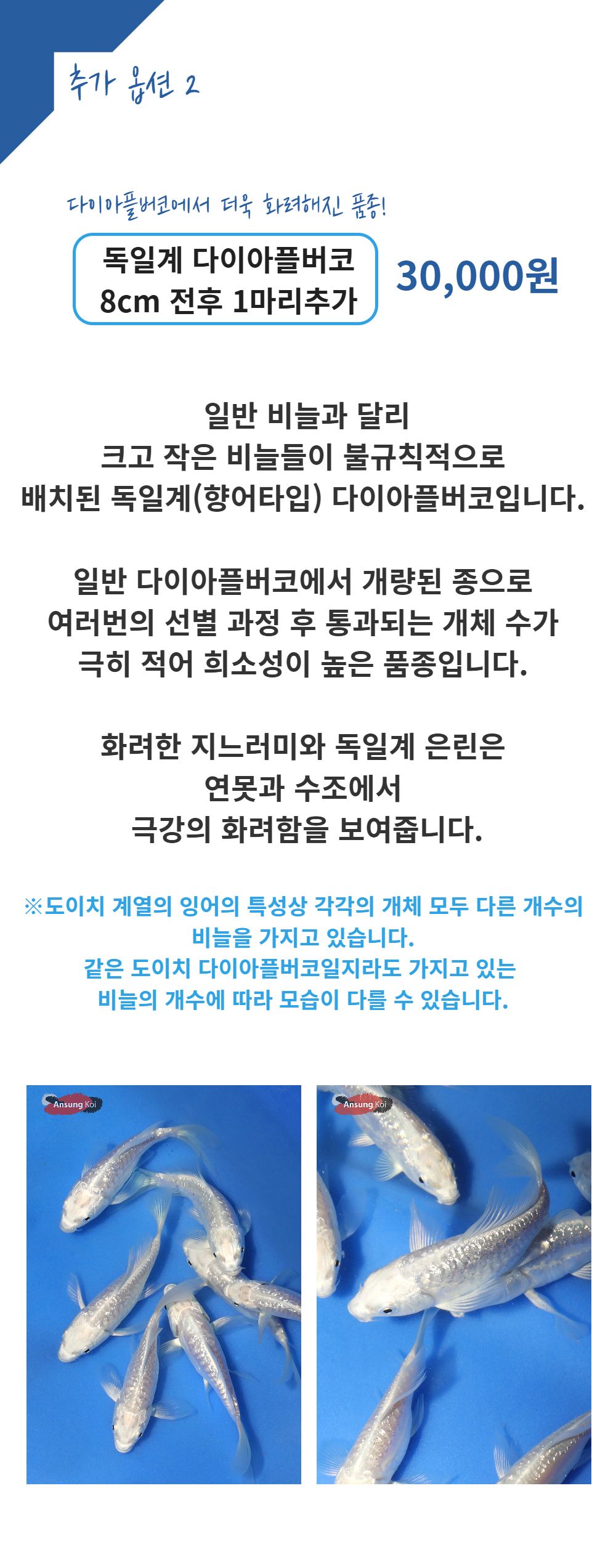 악세사리 -S18L2