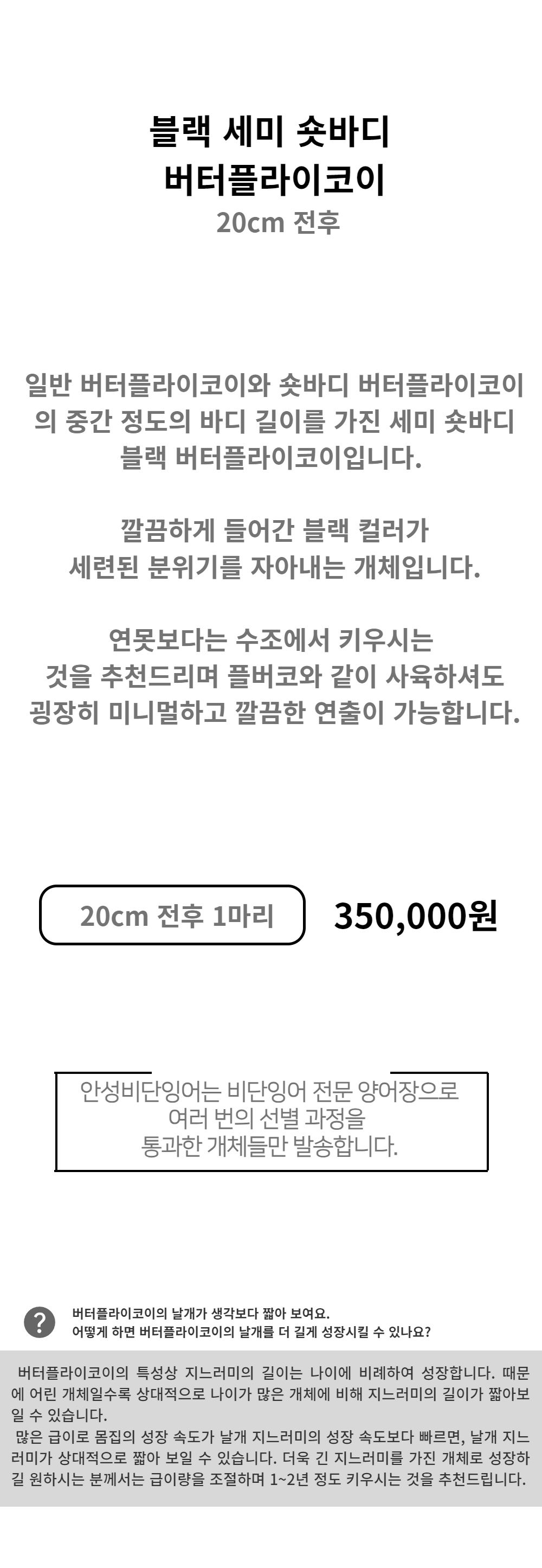 악세사리 -S1L2