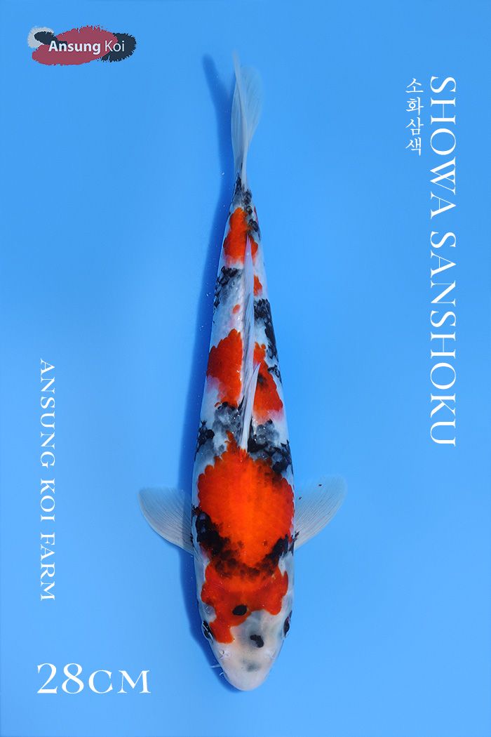 813_detail1.jpg
